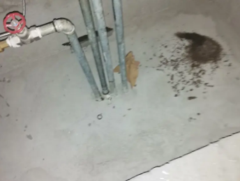 延长卫生间测漏水价格明细