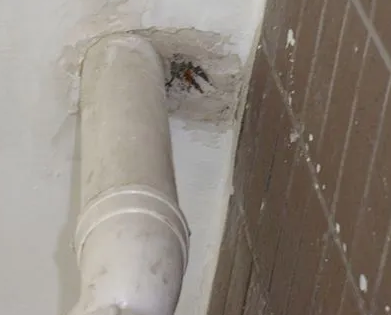 延长漏水检测哪家好